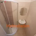 Rent 2 bedroom apartment of 35 m² in Trhový Štěpánov