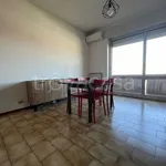 Rent 1 bedroom apartment of 45 m² in Piacenza