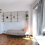 Rent 3 bedroom apartment of 100 m² in Torino