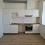 Rent 1 bedroom apartment in Brno