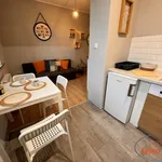 Rent 1 bedroom apartment of 28 m² in Poznań