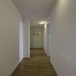 Rent a room of 65 m² in stuttgart