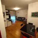 Rent 4 bedroom apartment of 110 m² in Perugia