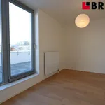 Pronajměte si 3 ložnic/e byt o rozloze 82 m² v Brno