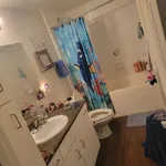 Rent 2 bedroom apartment in Cedar Park