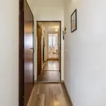 Rent 1 bedroom apartment in Florence