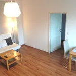 Rent 1 bedroom apartment of 41 m² in Prague