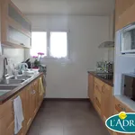 Rent 4 bedroom apartment of 80 m² in Émerainville