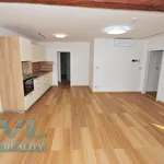 Rent 1 bedroom apartment of 56 m² in Brno