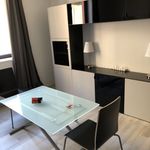 Rent 1 bedroom apartment of 22 m² in Metz