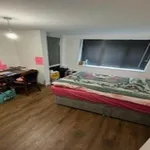 Rent 1 bedroom flat in Wales