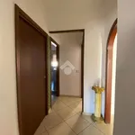 Rent 3 bedroom apartment of 77 m² in Palermo