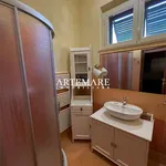 Appartamento in affitto a Pietrasanta via Della Fonda, arredato, terrazzo, centrale - TrovaCasa