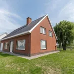 Rent 4 bedroom house of 820 m² in Tielt