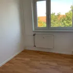 Rent 3 bedroom apartment of 57 m² in Leipzig