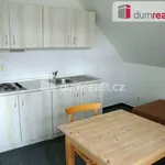 Rent 1 bedroom apartment of 28 m² in Liberec