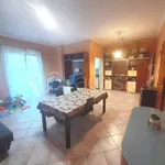 Rent 3 bedroom apartment of 75 m² in Monte Porzio Catone