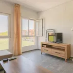 Rent a room in valencia