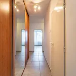 Rent 3 bedroom apartment of 67 m² in Praha 10 - Strašnice