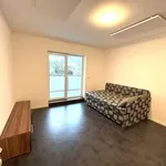 Rent 1 bedroom apartment in Třebíč