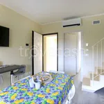 Rent 4 bedroom apartment of 75 m² in Grosseto