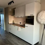 Huur 2 slaapkamer appartement van 48 m² in Ermelo