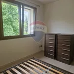 Rent 2 bedroom apartment of 54 m² in Cassago Brianza