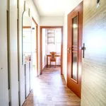 Rent 1 bedroom apartment of 38 m² in Hradec Králové