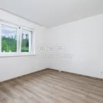 Pronajměte si 1 ložnic/e dům o rozloze 76 m² v Jihlava