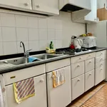 Rent 2 bedroom apartment of 55 m² in milan