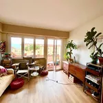 Rent 3 bedroom apartment of 60 m² in Pisa