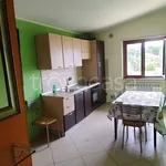 Rent 2 bedroom apartment of 70 m² in Montalto Uffugo