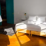 Rent 4 bedroom apartment of 115 m² in Porto