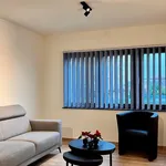 Rent 1 bedroom apartment in Hasselt