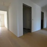 Rent 3 bedroom apartment of 80 m² in Leipzig