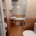 Rent 1 bedroom apartment of 31 m² in Praha