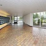 Rent 4 bedroom apartment of 126 m² in Arnhem