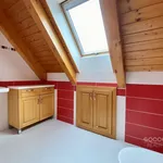 Pronajměte si 3 ložnic/e dům o rozloze 140 m² v Suhrovice