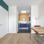 Rent 1 bedroom apartment in london