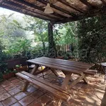 Rent 3 bedroom house of 90 m² in Castelfiorentino