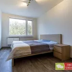 Pronajměte si 2 ložnic/e byt o rozloze 48 m² v Prague