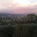 Rent 3 bedroom apartment of 70 m² in Civitella Paganico