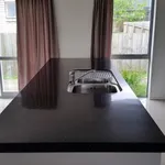 Rent 4 bedroom house in Auckland