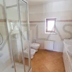 Rent 5 bedroom house in Prague