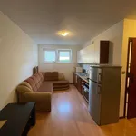 Rent 2 bedroom apartment of 45 m² in Szczecin