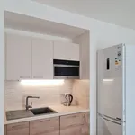 Rent 2 bedroom apartment in Praha 5