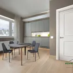 Rent 1 bedroom apartment of 40 m² in Essen