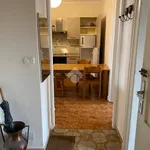 Rent 3 bedroom apartment of 68 m² in Torino