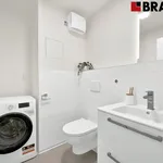 Rent 4 bedroom apartment of 95 m² in Brno