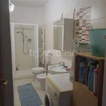 Rent 2 bedroom apartment of 50 m² in Bologna